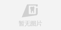伢典